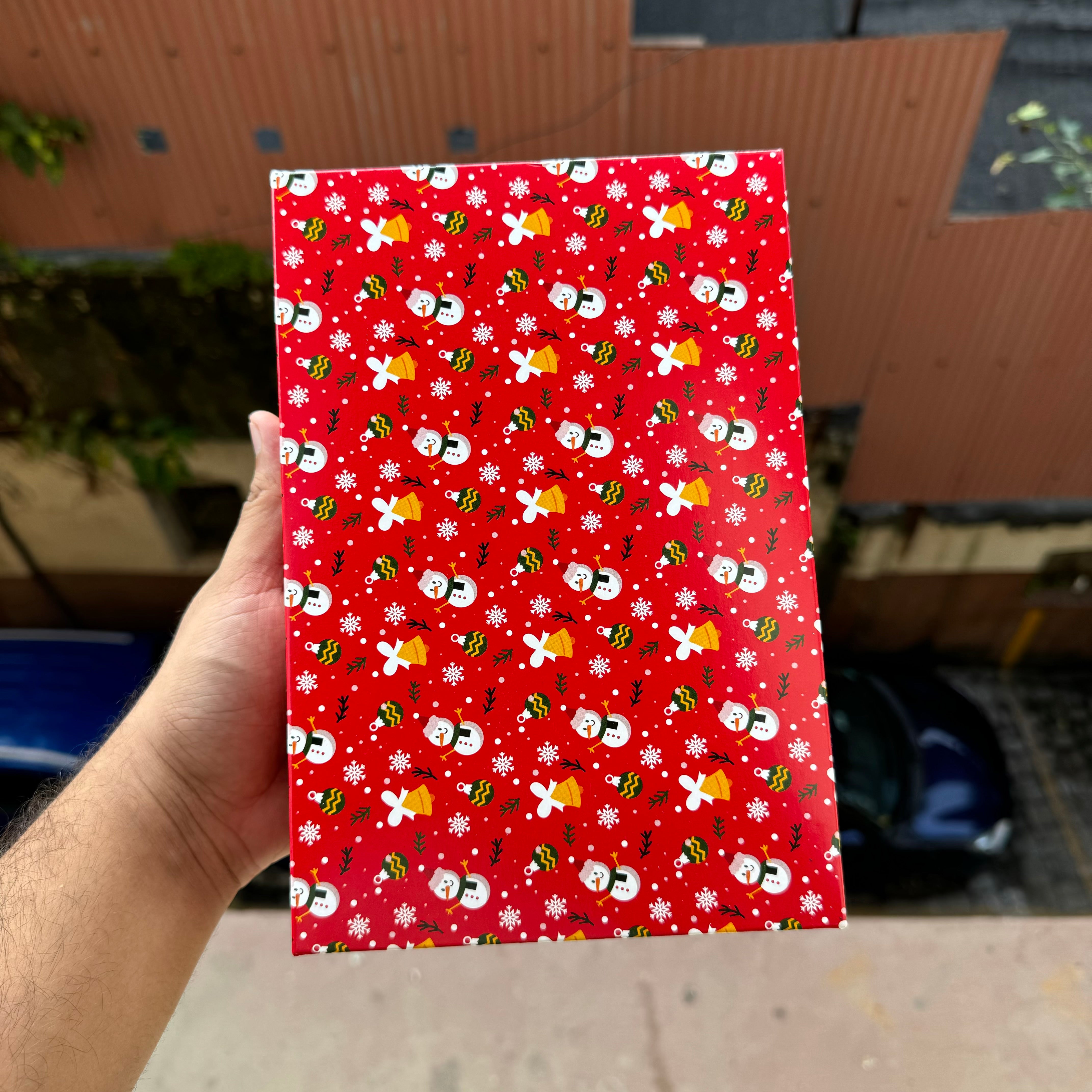Christmas 6 Partition Box (10pc)