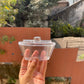 Mousse Cup With Spoon (12 pc)