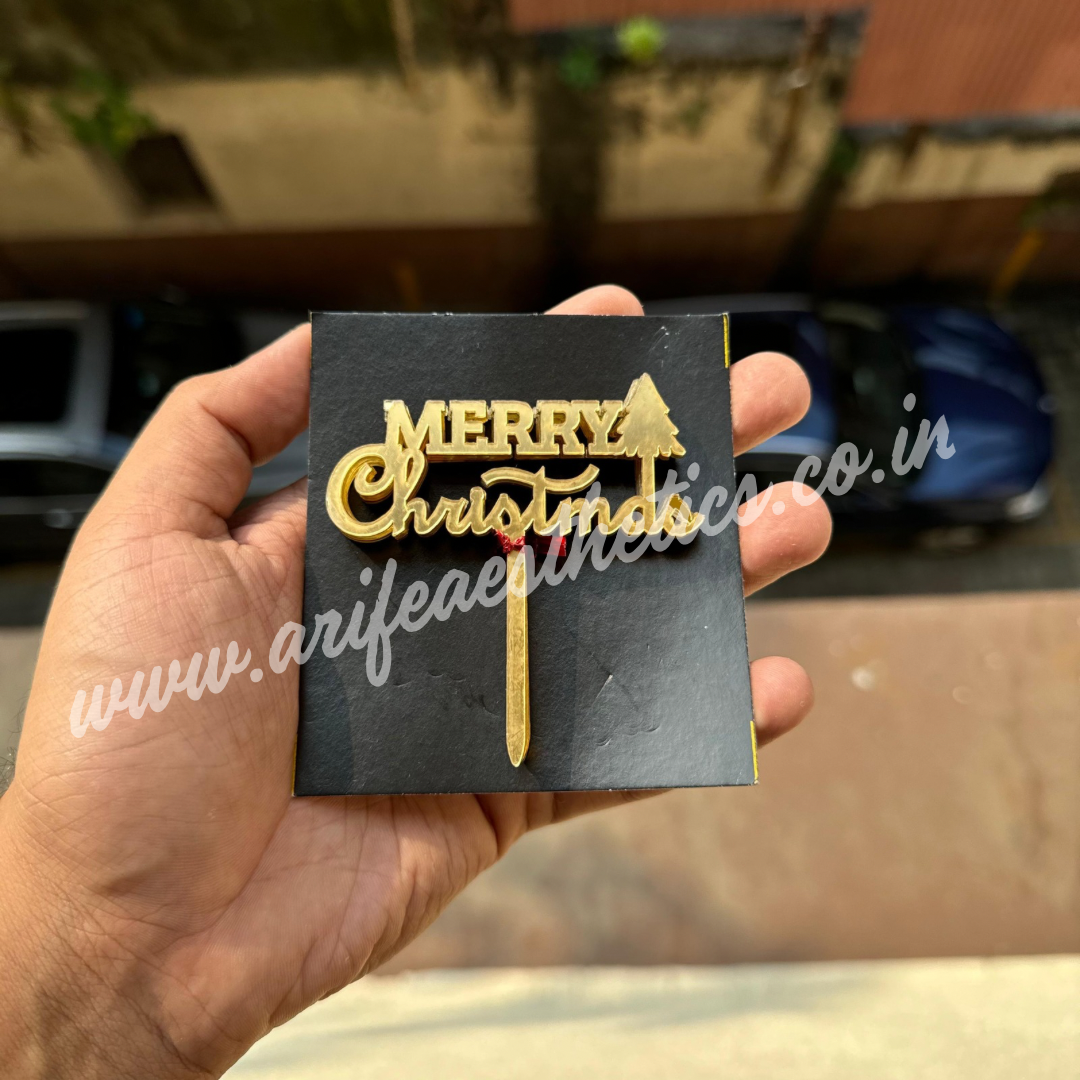 Christmas Tag (10 pc) WKV