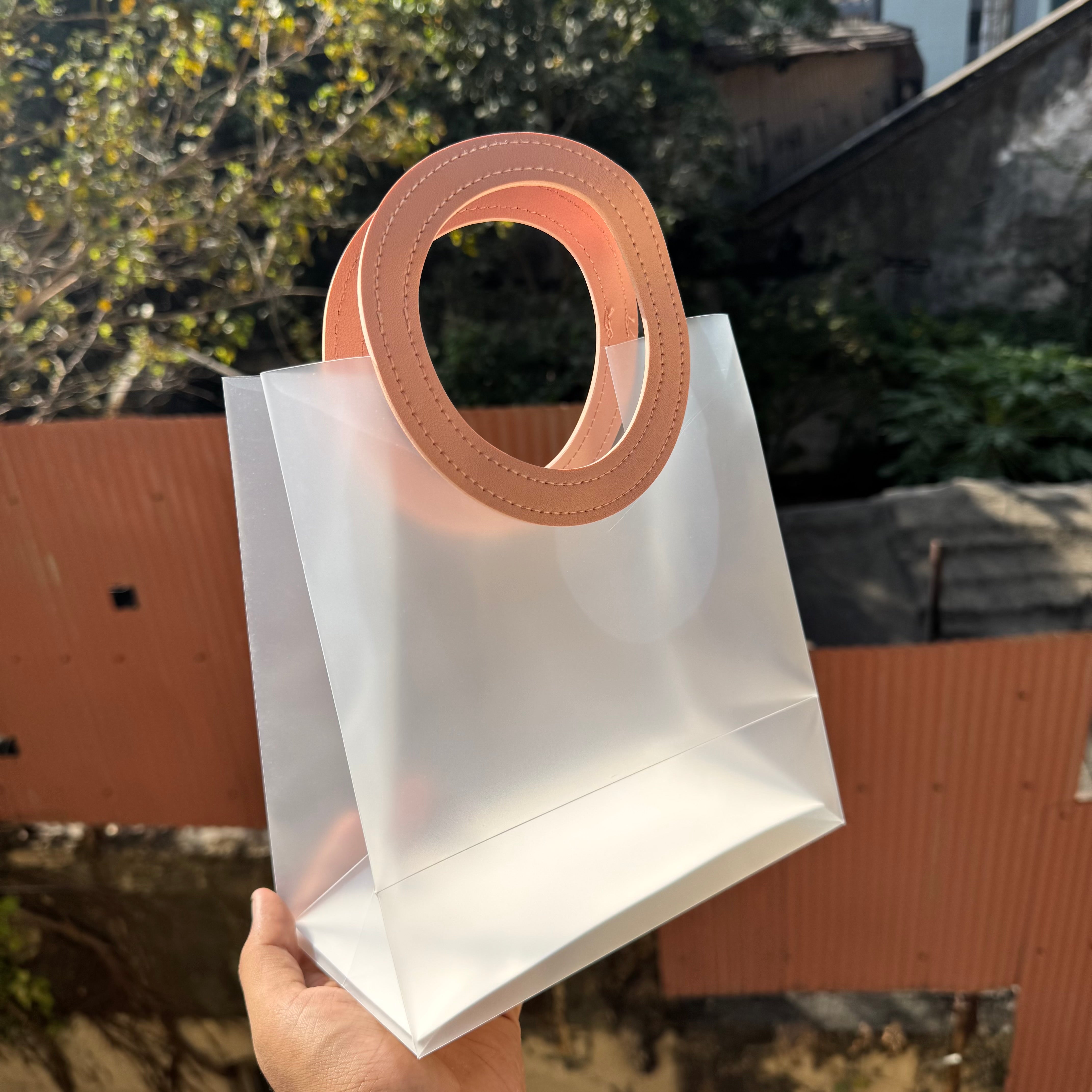 Frosted Bag 8x9inch (10pc) Peach Colour