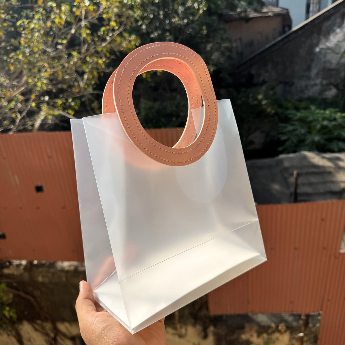 Frosted Bag 8x9inch (10pc) Peach Colour
