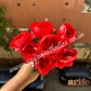 Red ABCD Artificial Flower Bunch