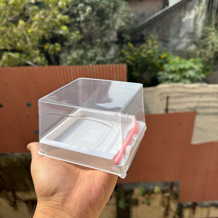 Square Pastry / Cheesecake Container (10pc)