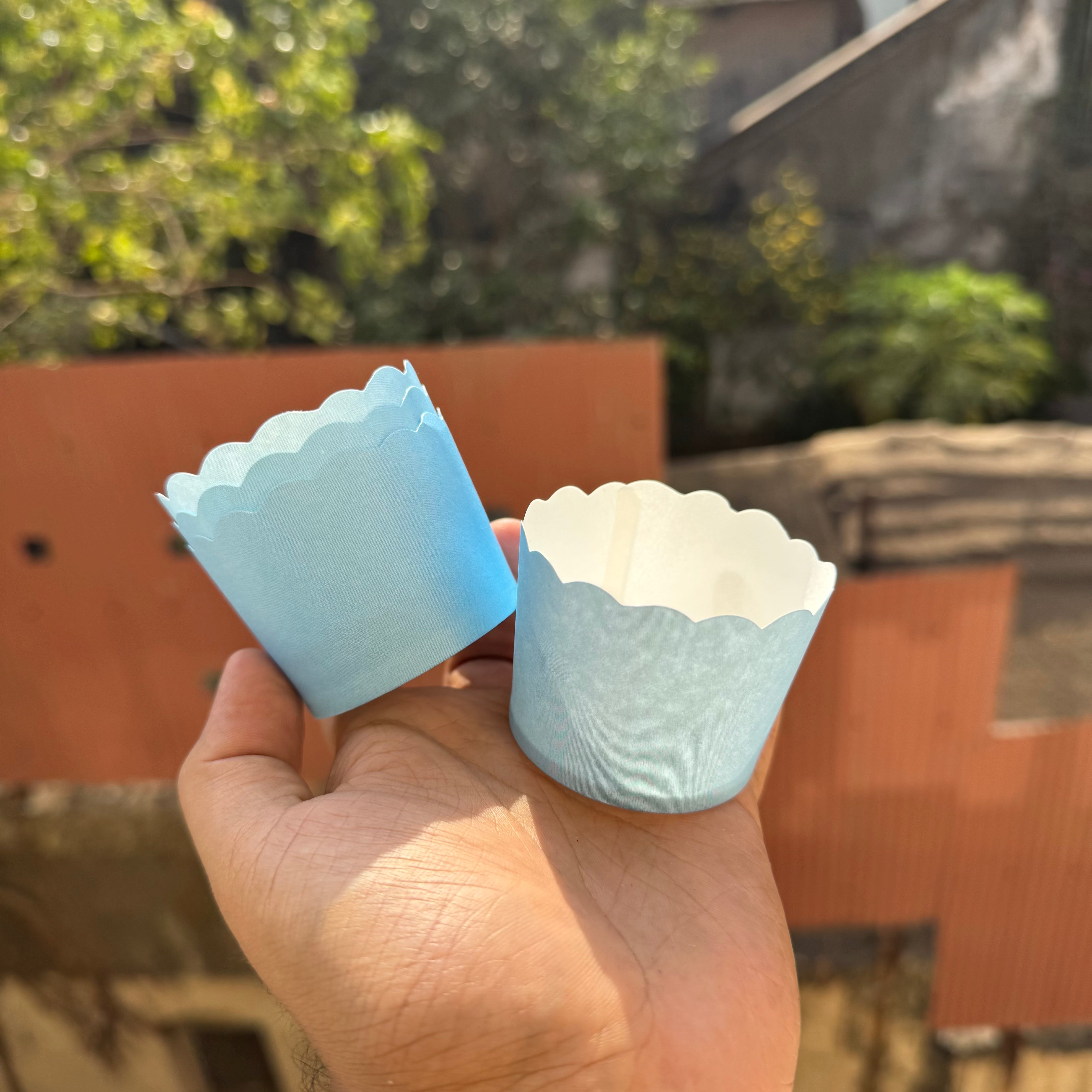 Ready to Bake Pastel Blue Cupcake / Muffin Liners (50pc)