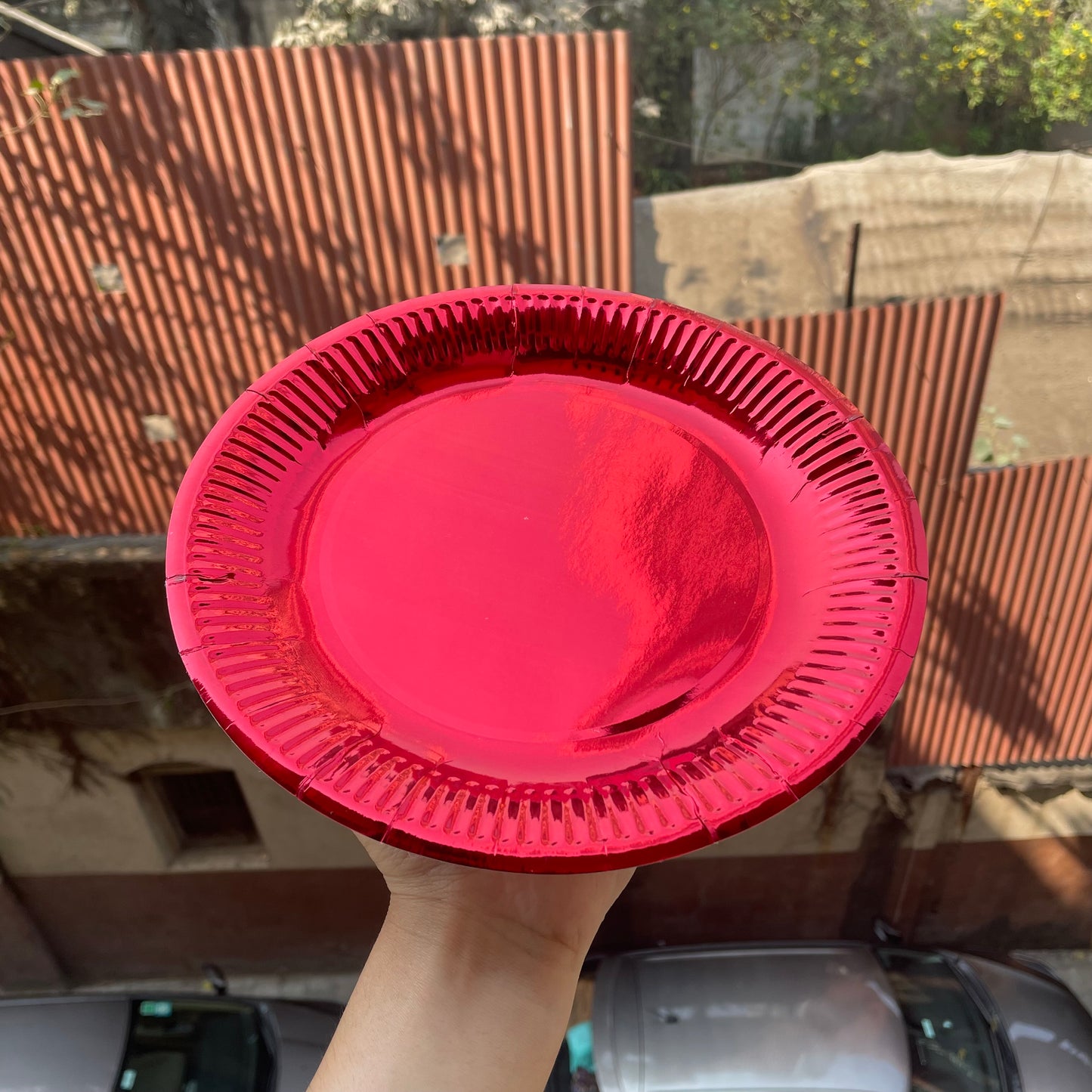 Red Paper Plates (50pc)