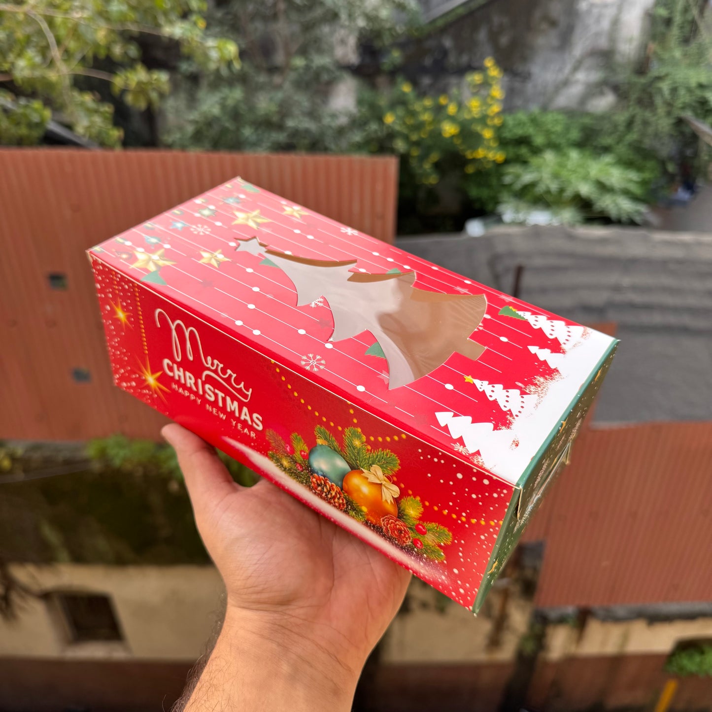 Plum / Bombilini / Rectangle Box (10pc) 500gms Big