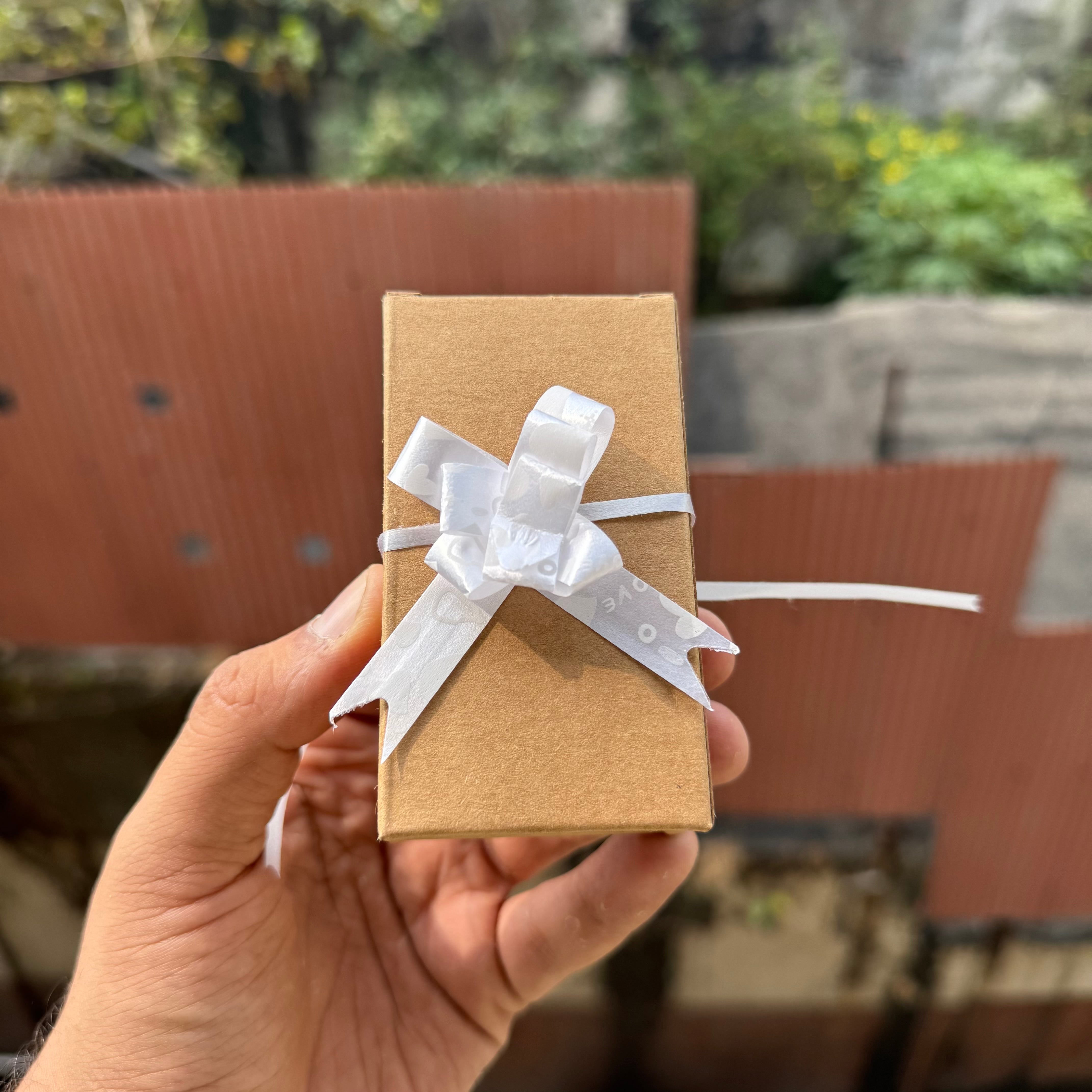 DIY Bow Ribbon (10pc)