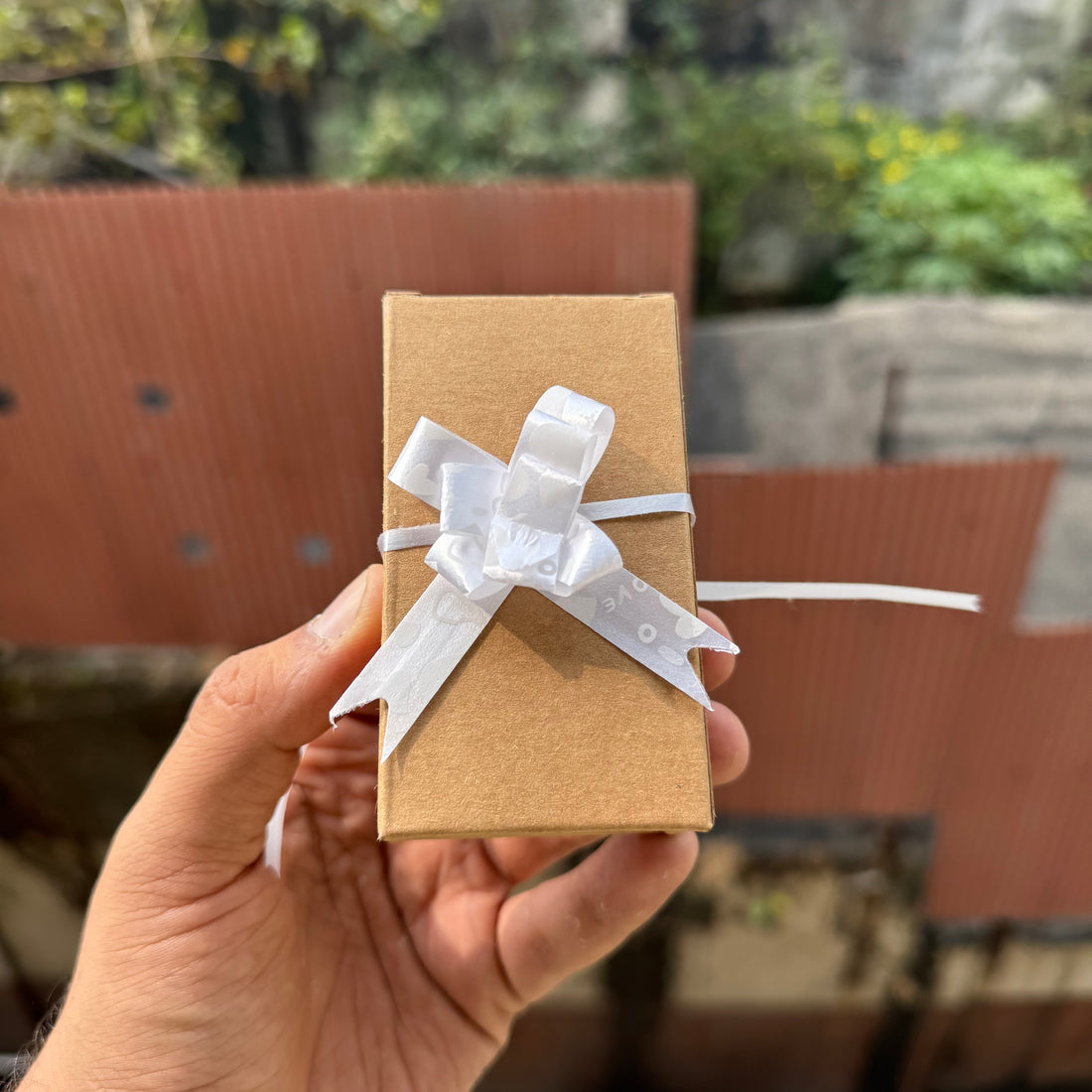 DIY Bow Ribbon (10pc)