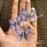 Designer 3D Butterfly