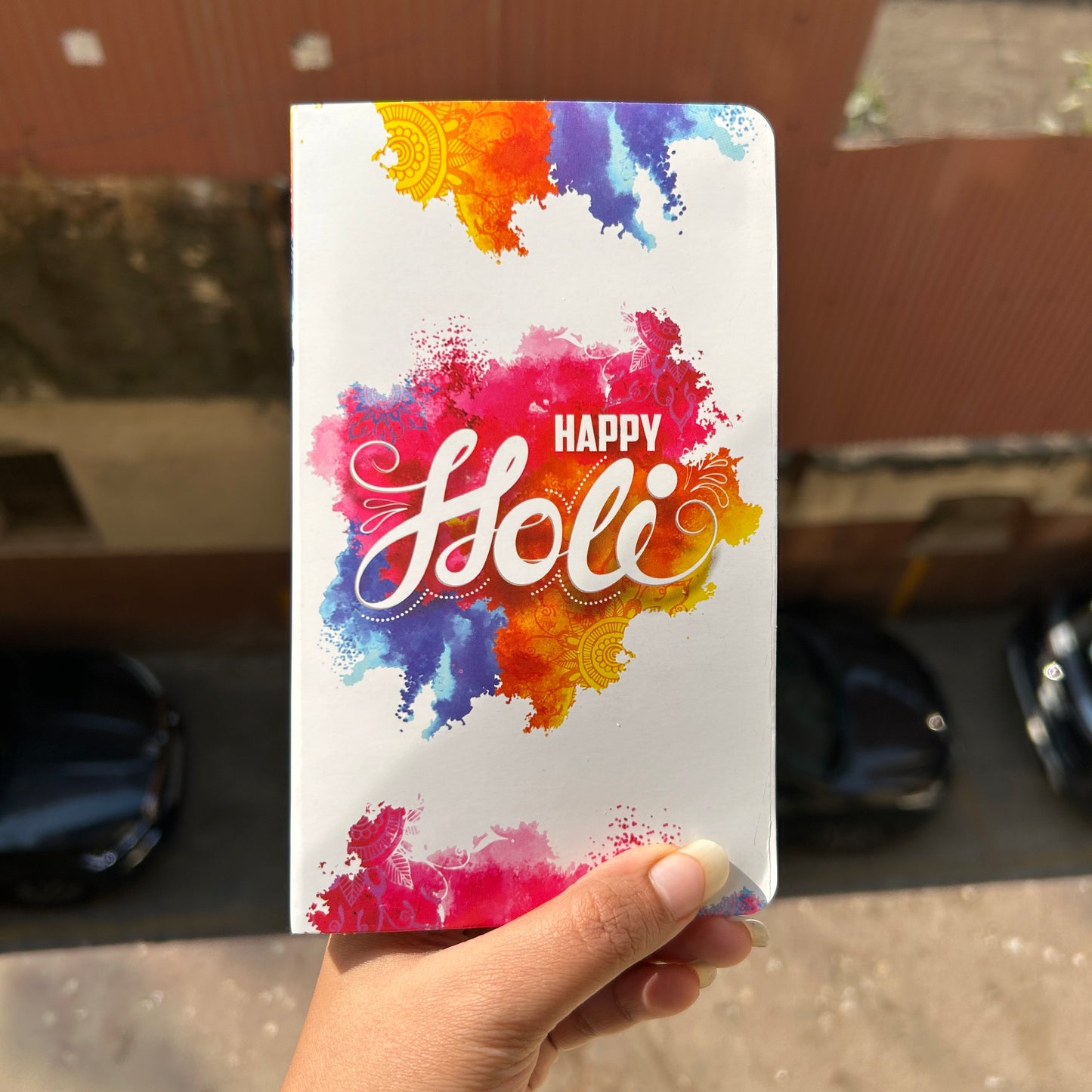 Holi Bar Book (10pc)