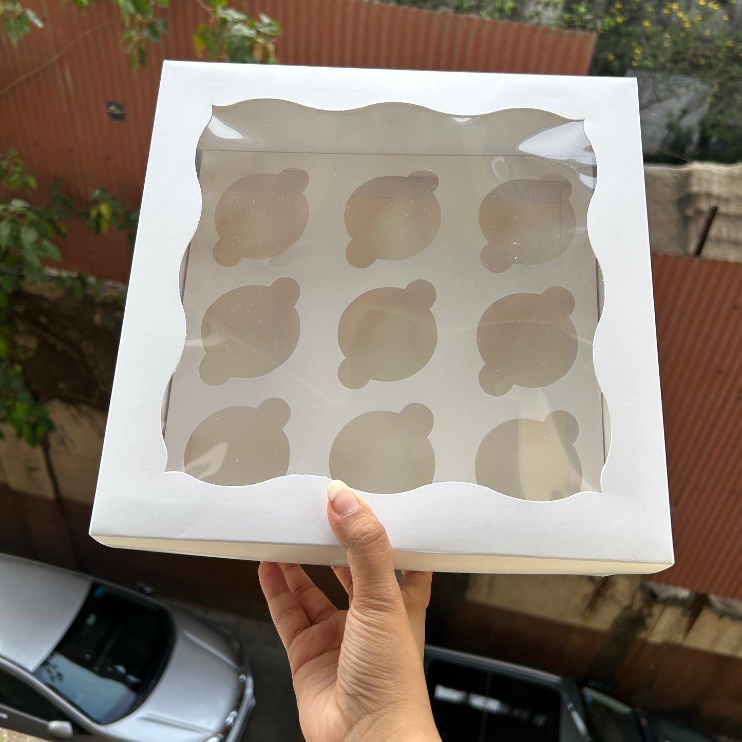 9in1 Cupcake Box White