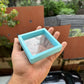 PE Film Suspension Display box