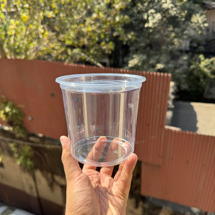 Cookie Dessert PVC Container (10pc)
