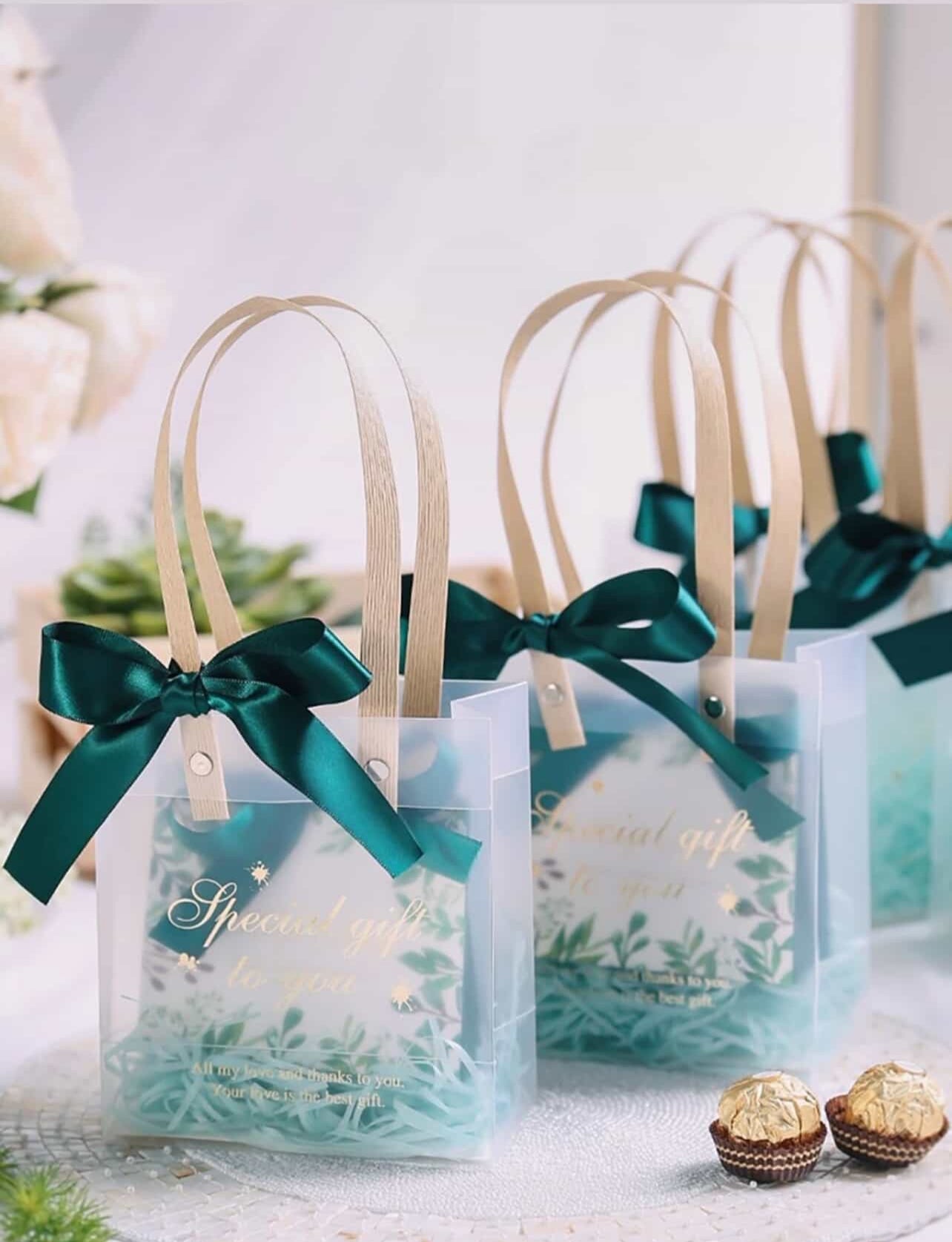 Frosted Bags Pvc No.10 (10pc)