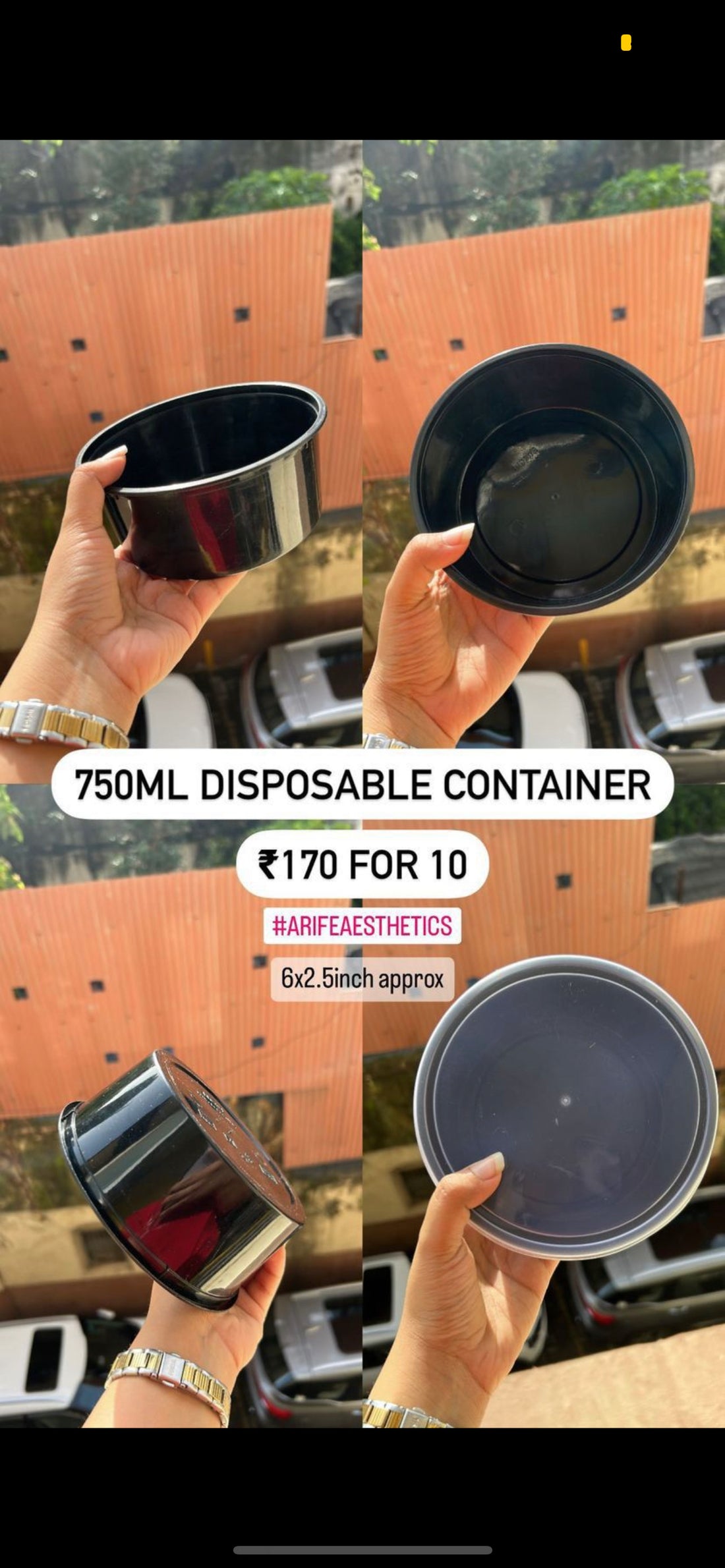 Disposable Containers (10 pc)