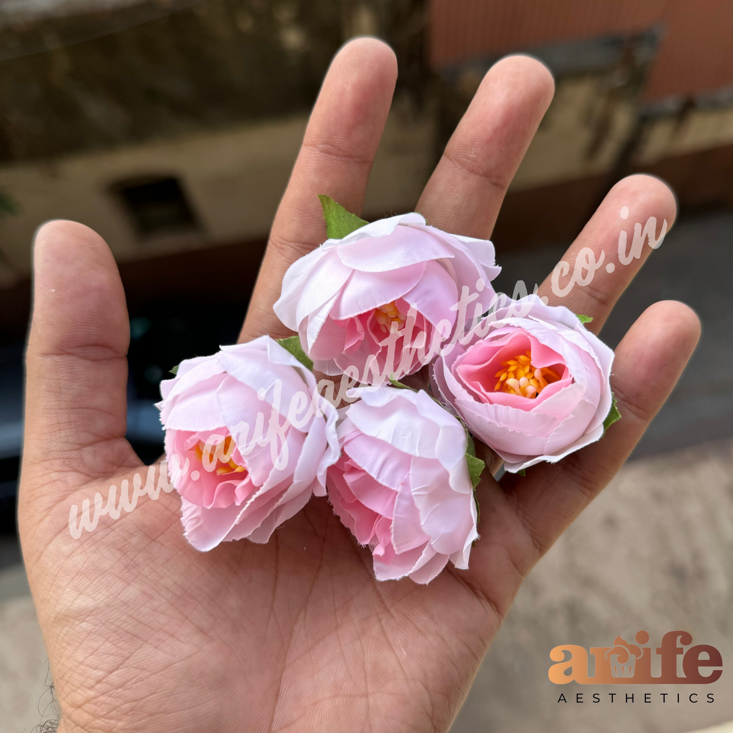 Peach Pop Flowers 5pc