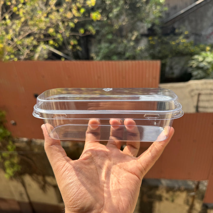 Trending Rectangle Dessert PVC Container (10pc)