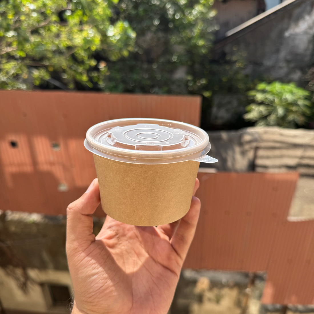 Kraft Tub 250 mL Transparent Lid (10pc)