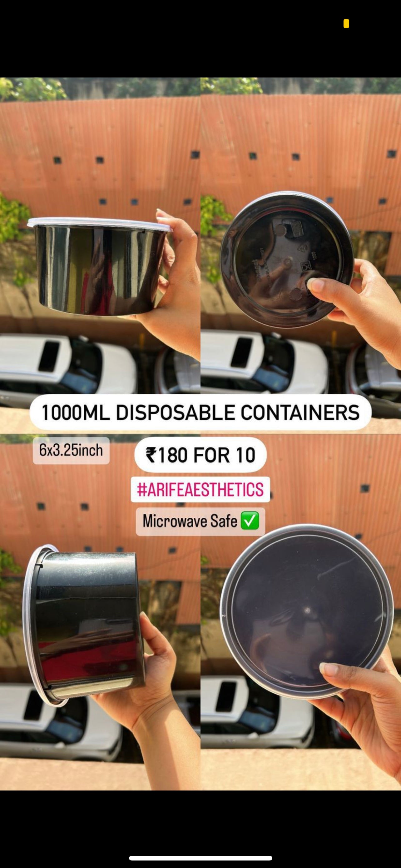 Disposable Containers (10 pc)