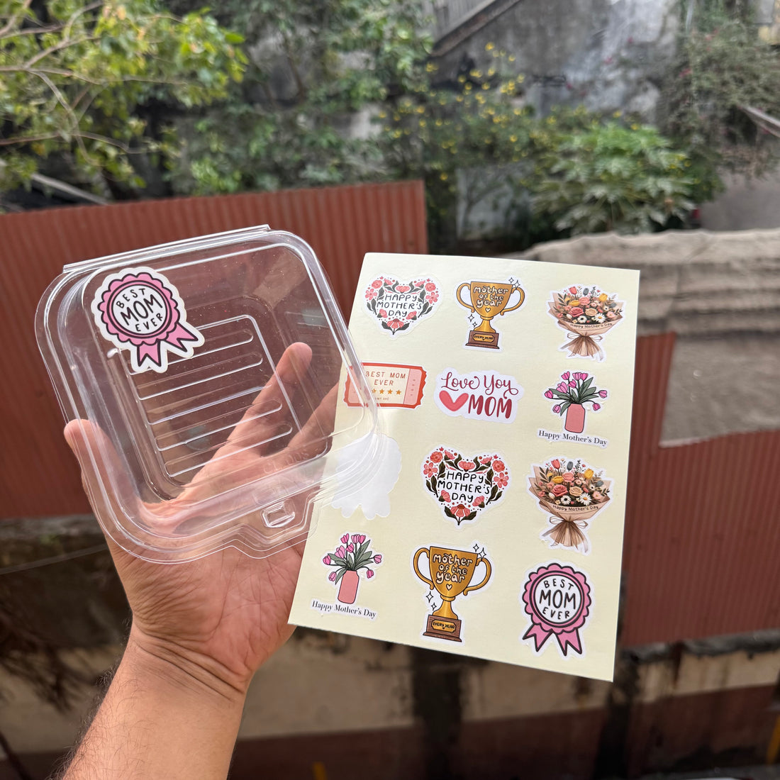 6” Bento PVC Box With Sticker (10pc)