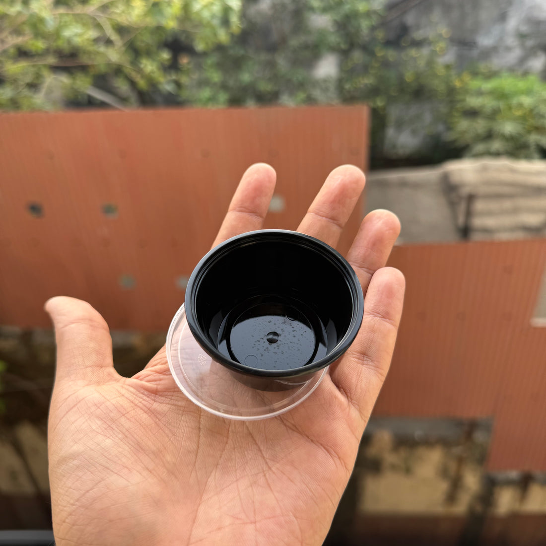 50ml Dip Container (50pc)