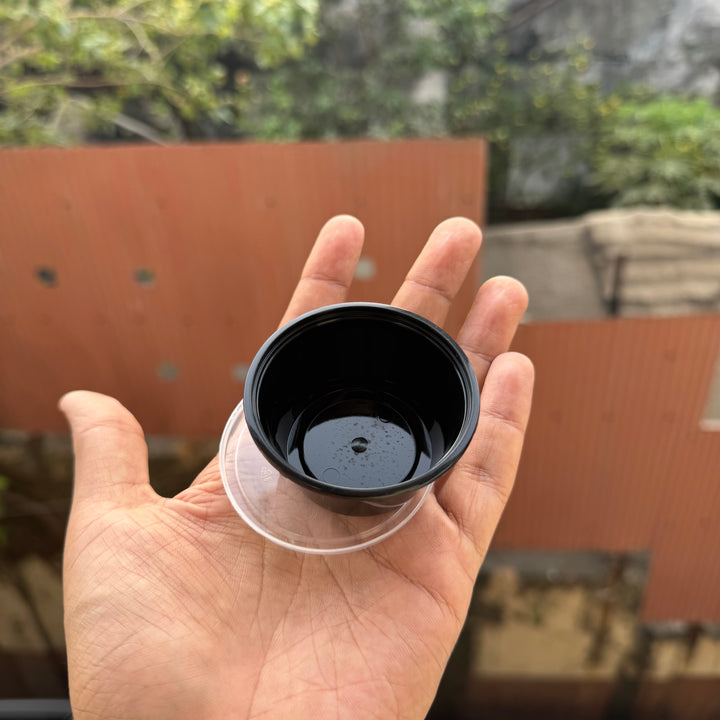 50ml Dip Container (50pc)