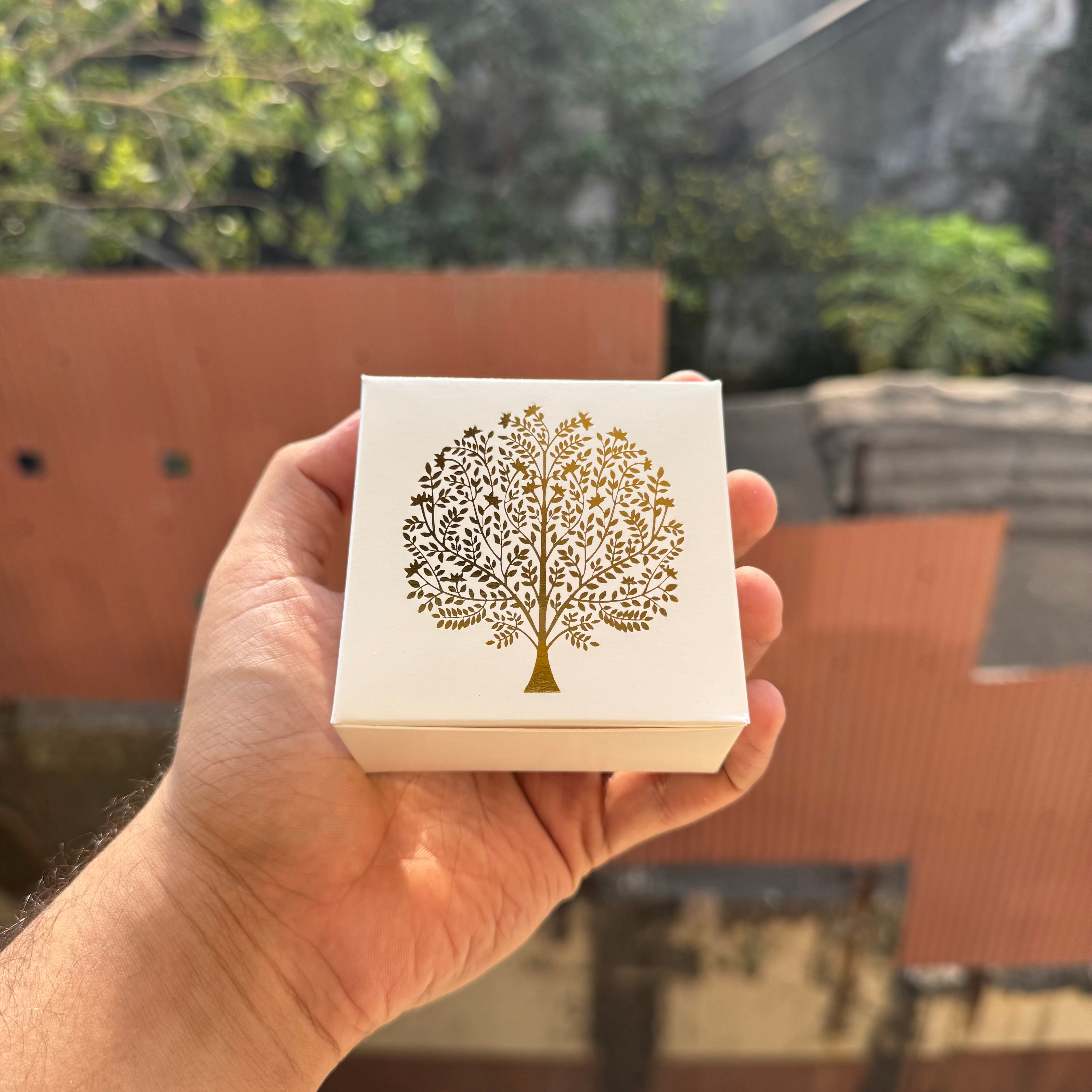 Premium Single Brownie Box (10pc)