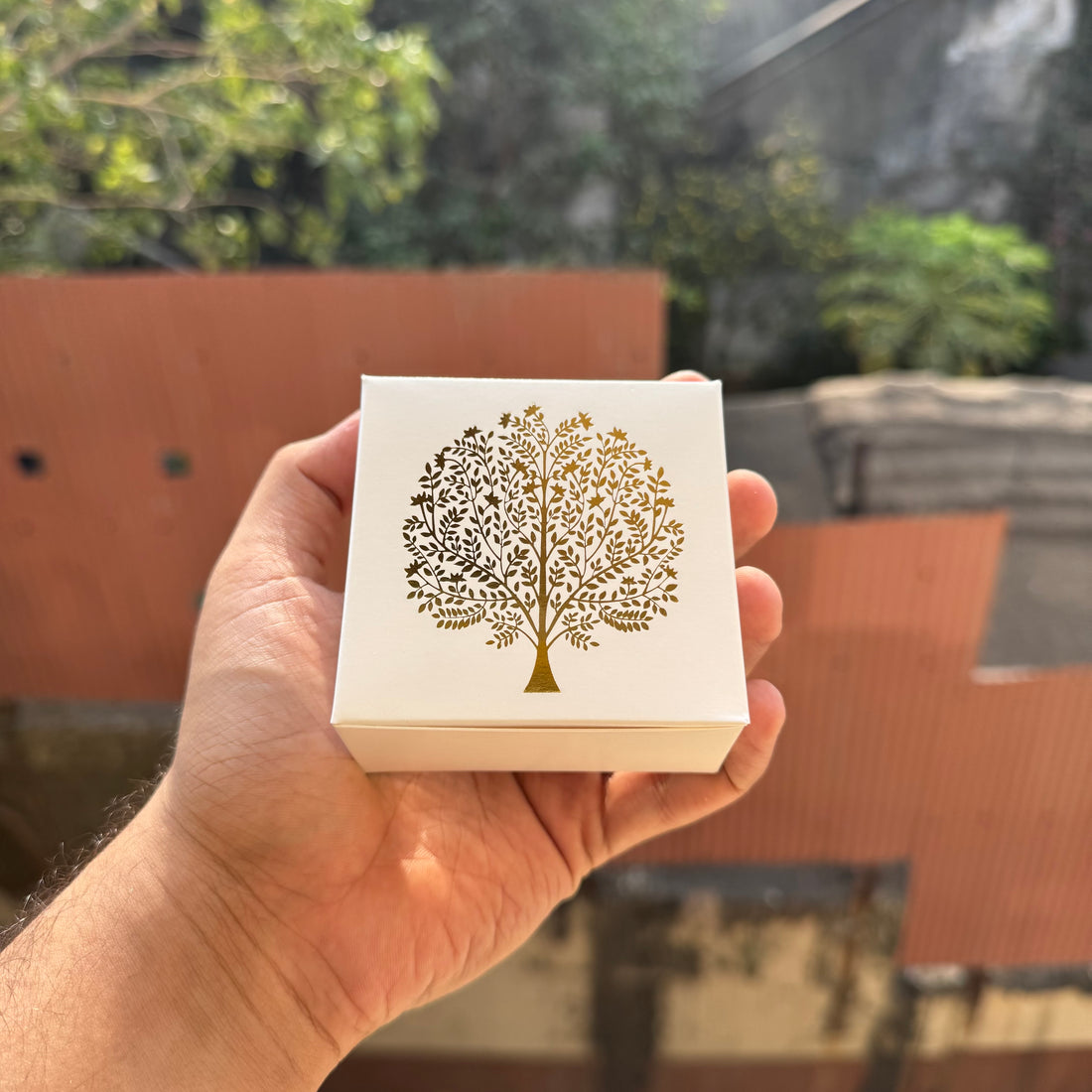 Premium Single Brownie Box (10pc)