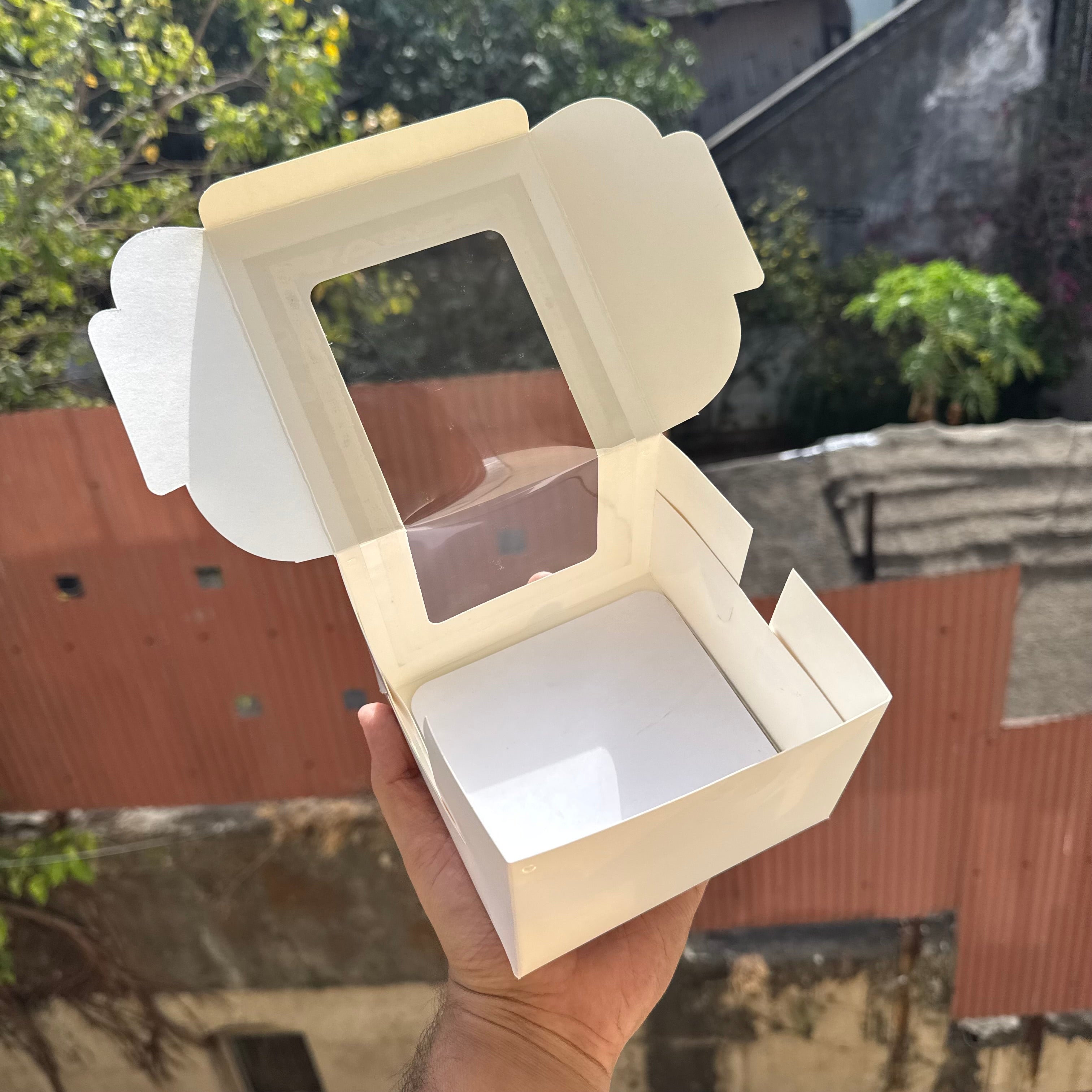 Cake Box With Reversible Base (10pc)