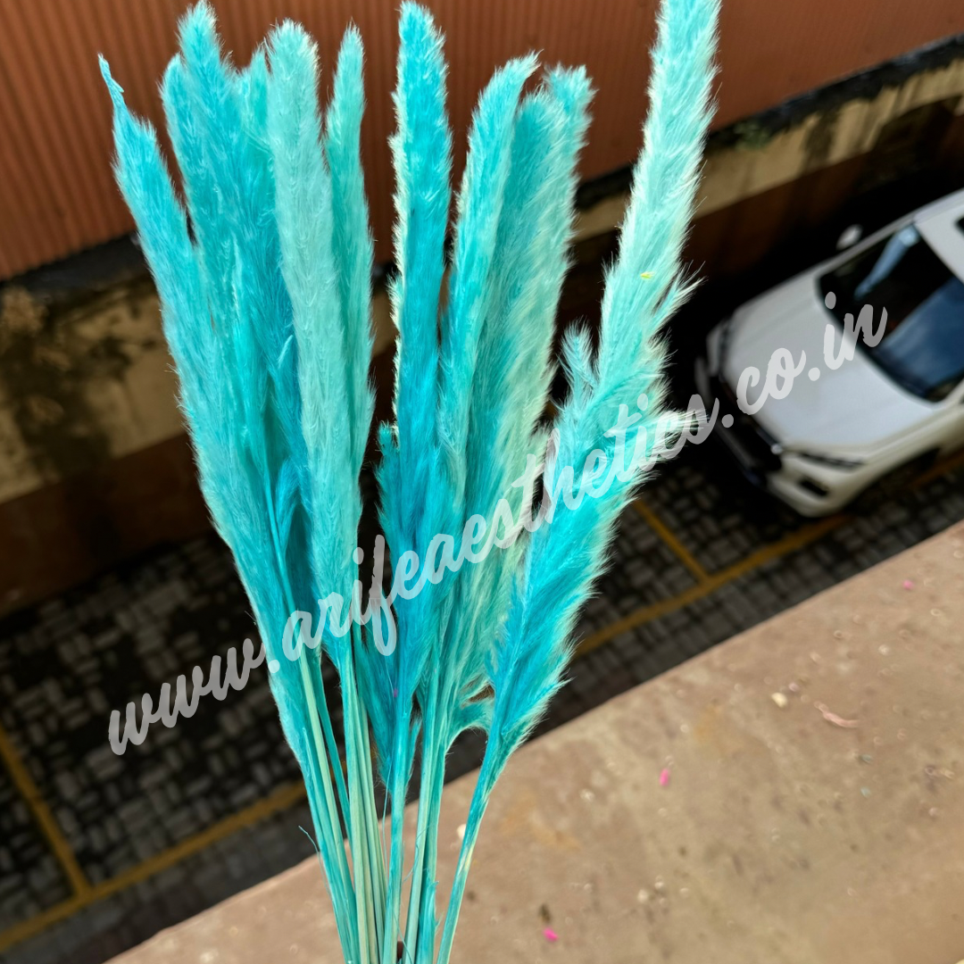 Pampas Stick 5pcs