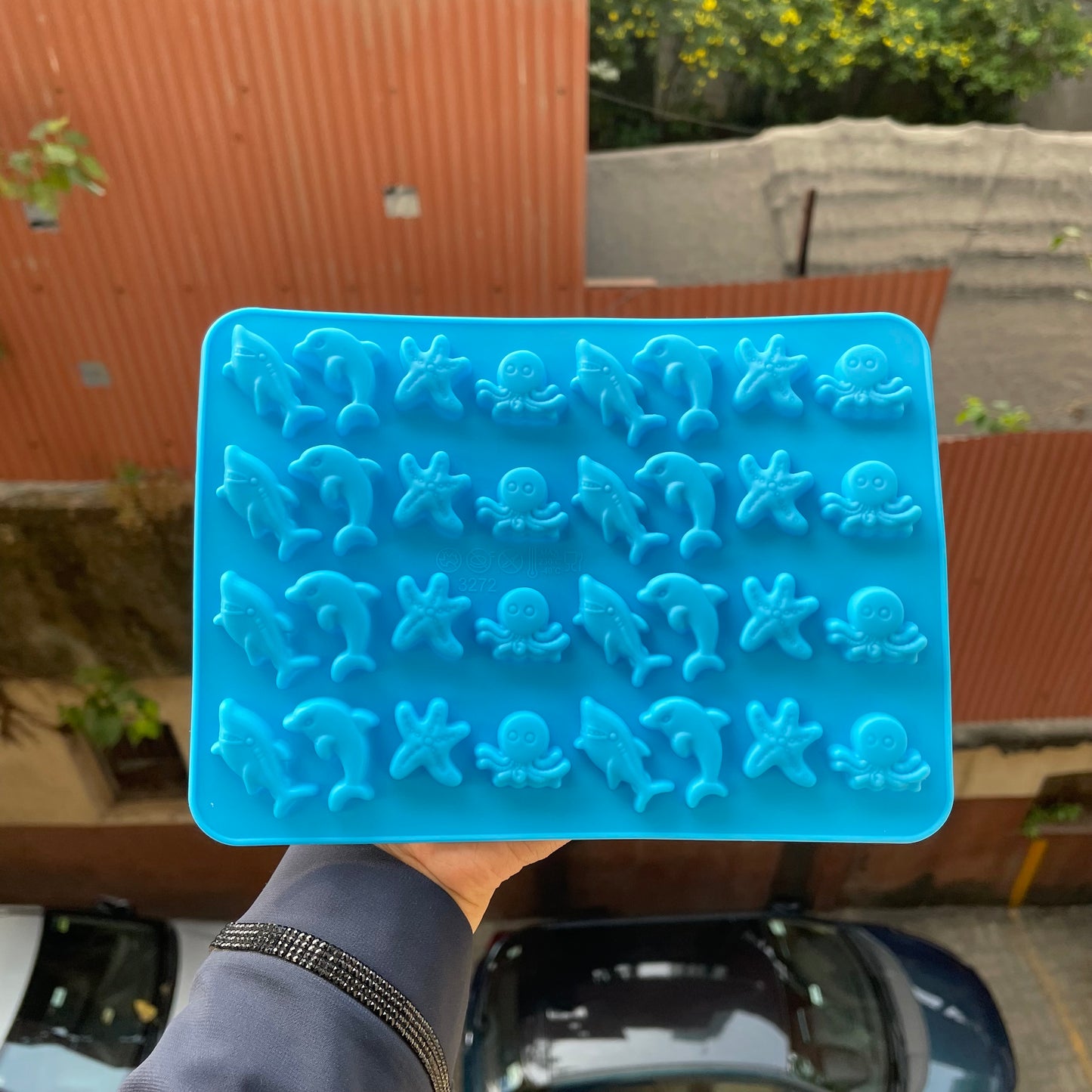 Sea Jelly Mould