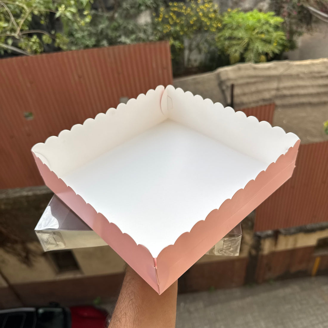Square Frill Box With Lid (10pc) • BIG - PINK