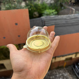 Round Pastry Pvc Gold Container 10pcs