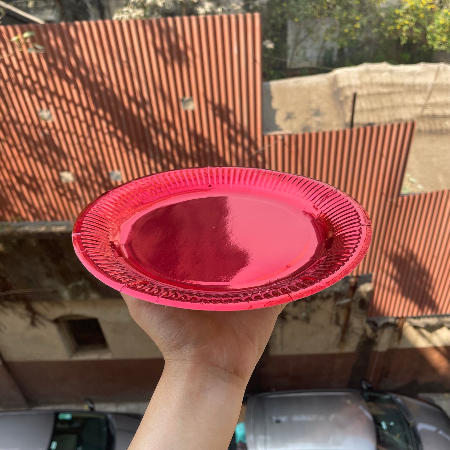 Red Paper Plates (50pc)