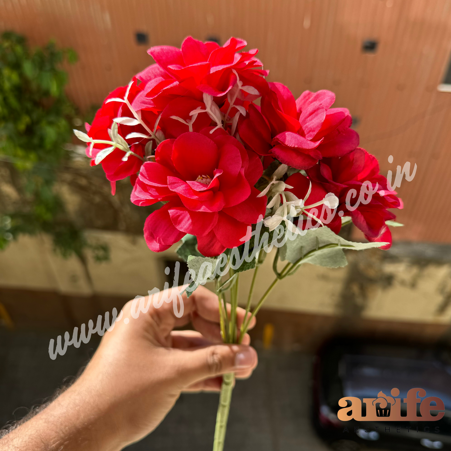 Blooming Red Flower Bunch