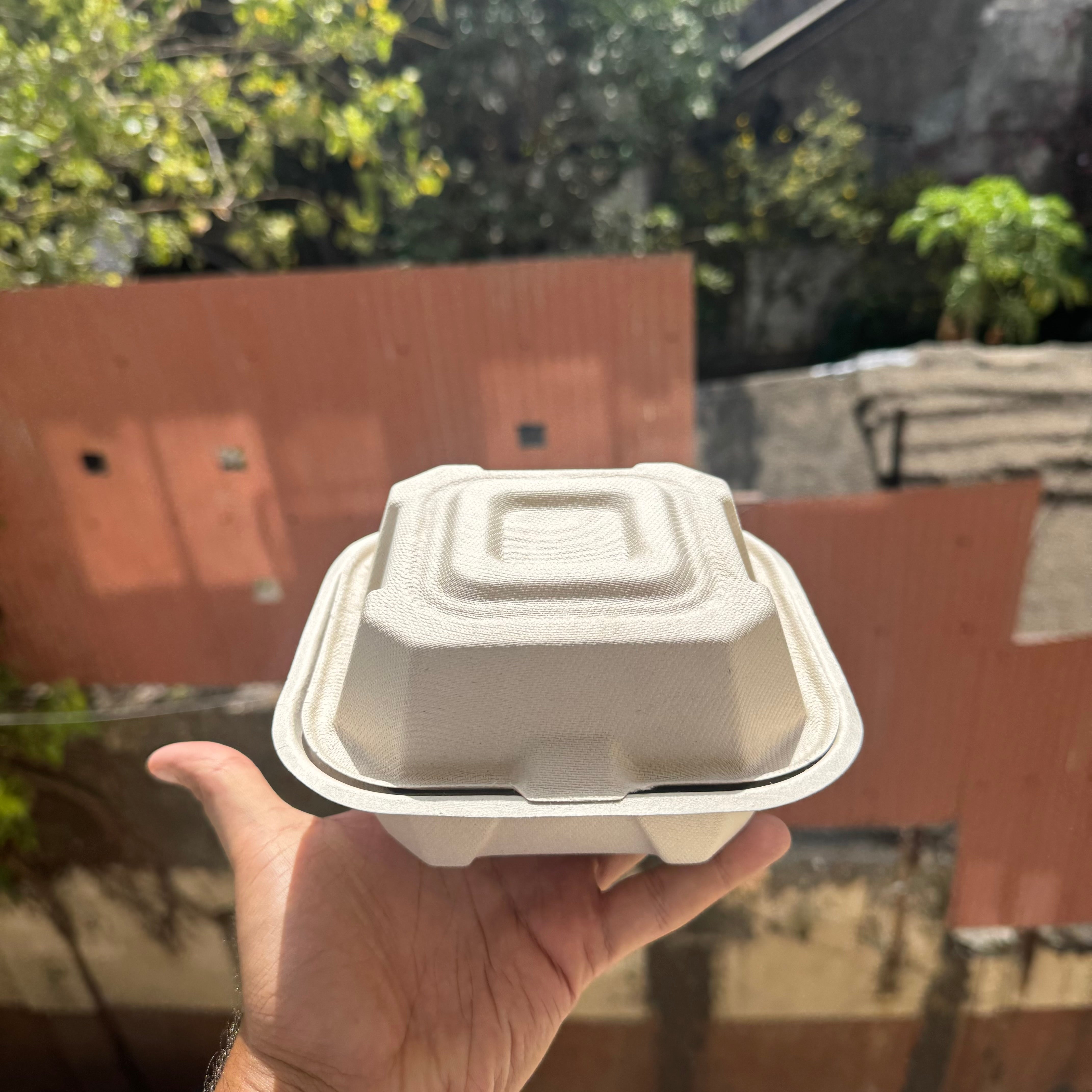 Bento Box 6 Inches (pack of 10)