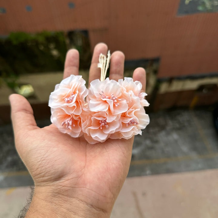 Emily Peony Peach