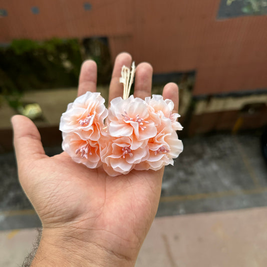 Emily Peony Peach
