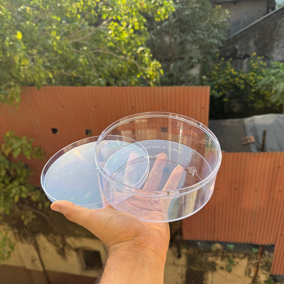 Big Size 6.5inch Round Acrylic Tubs For Matilda Cake & More (12pc set)