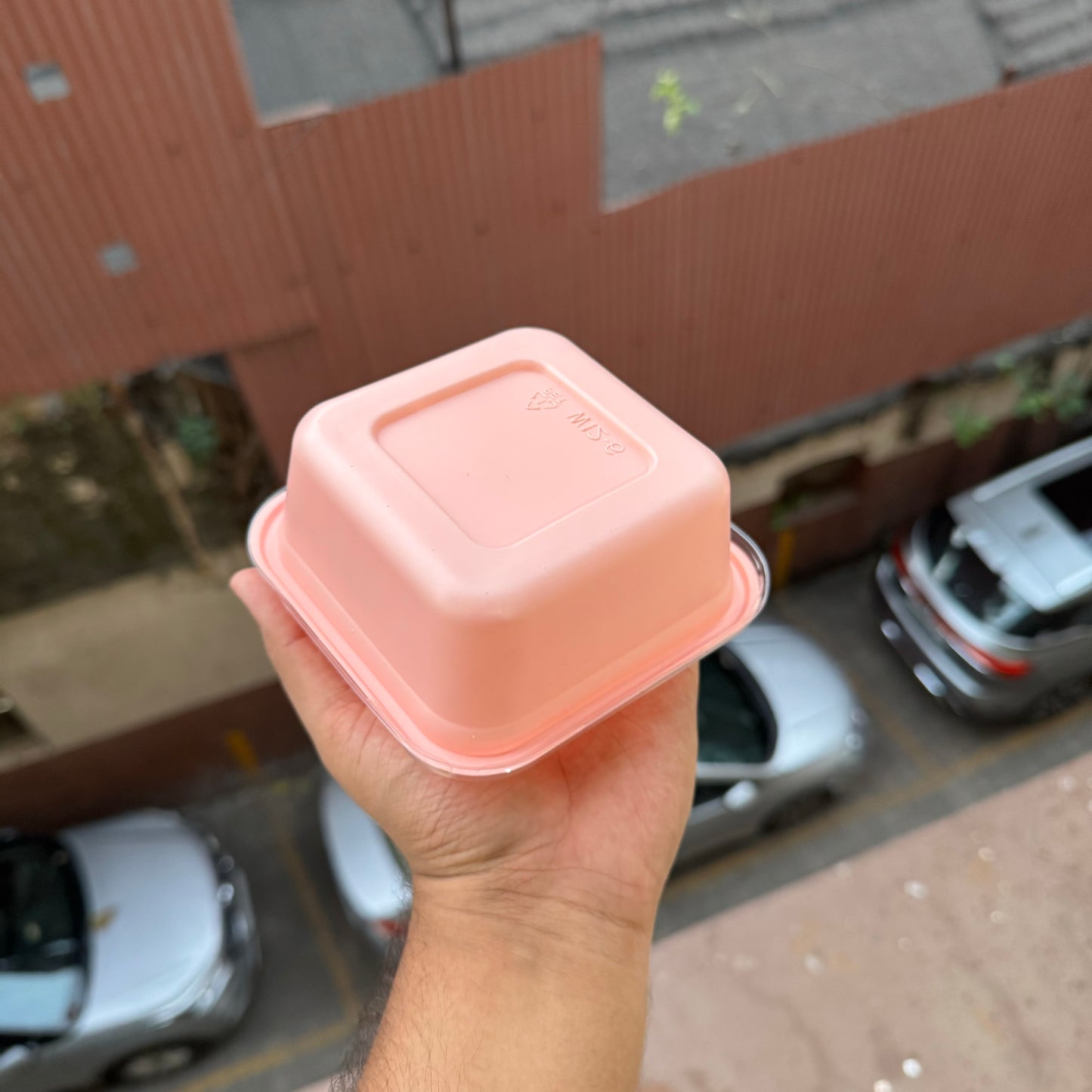 Square Container With Transparent Lid (10pc)