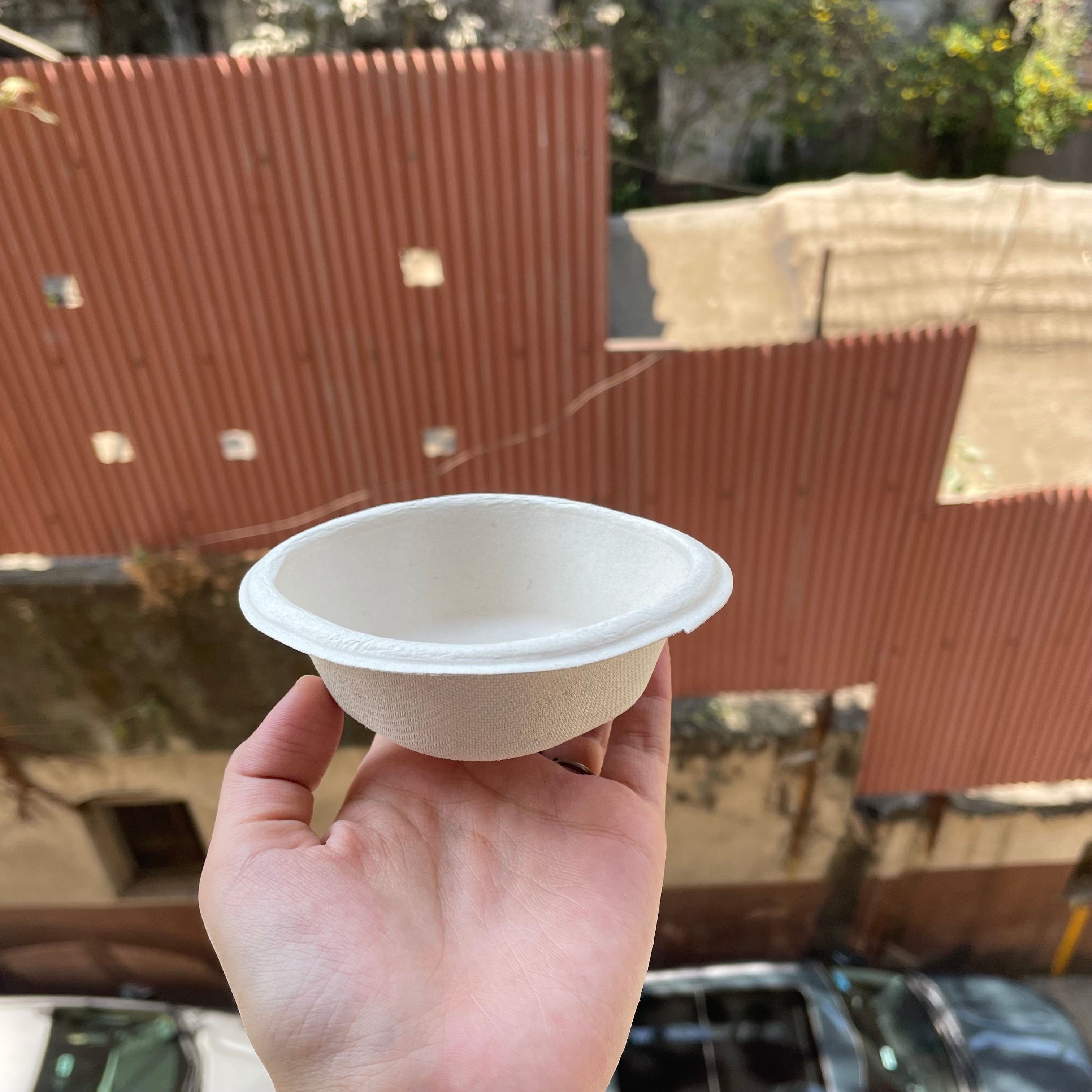 Disposable Bagasse Small Bowl (50pc)