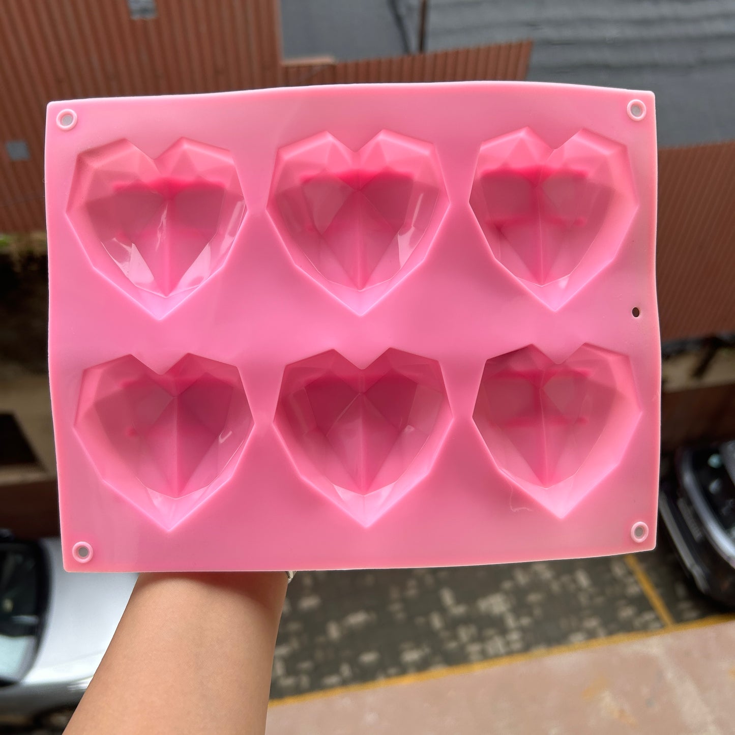 6in1 3D Heart Mould