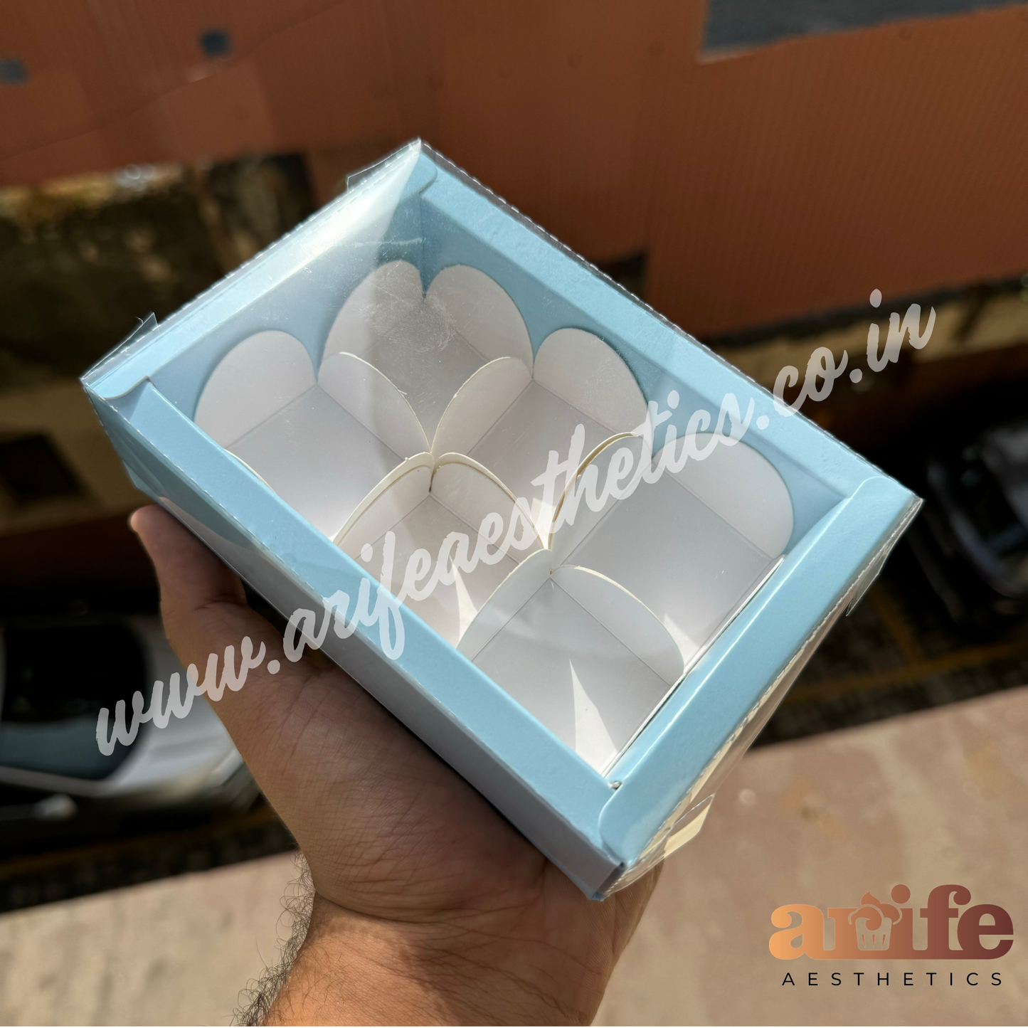 6 Cavity Premium Chocolate Box (10pcs)