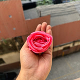 Rose Artificial Flower - 1pc