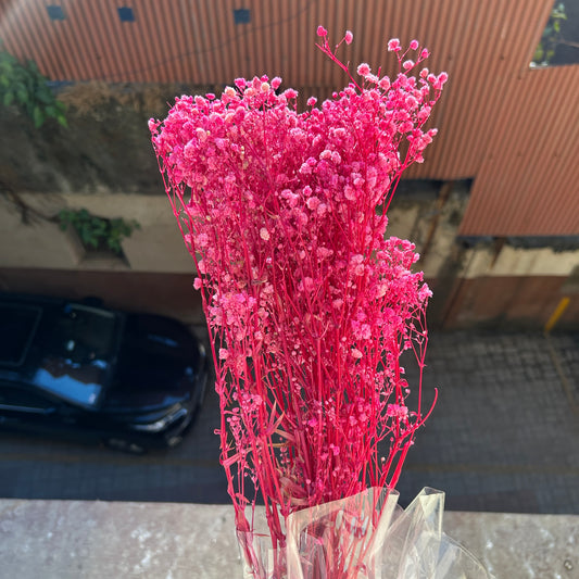 Original Baby Breath