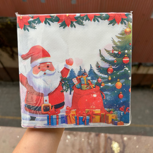 Christmas Disposable - Xmas Paper Napkin (20pc)