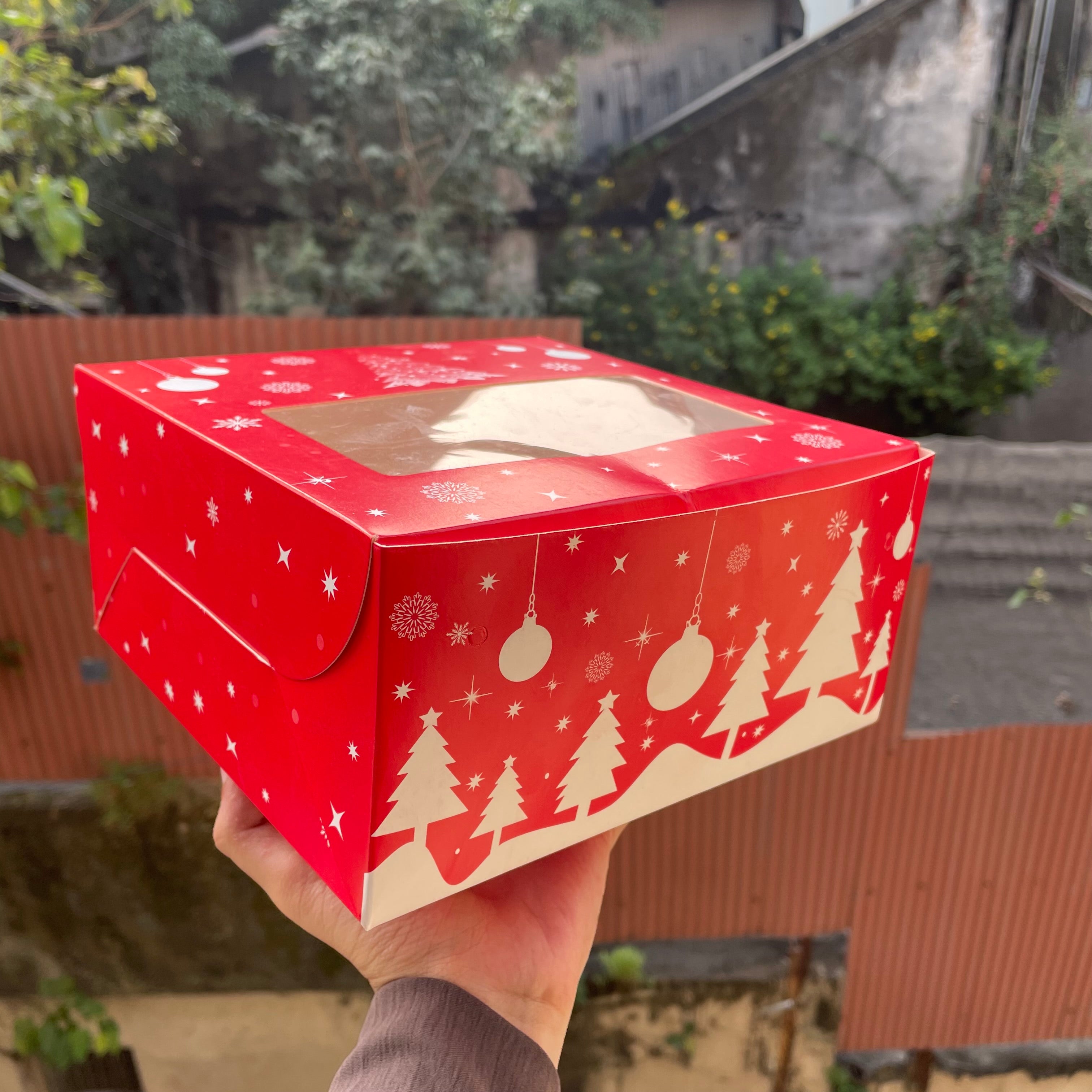 Christmas 1/2 kg cake box (10 pc)