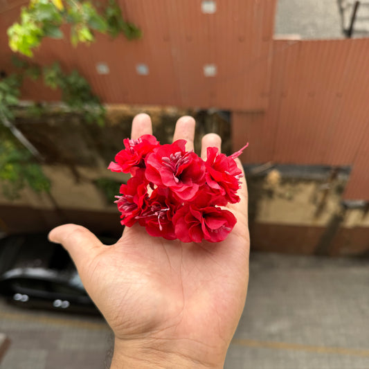 Emily Peony Red