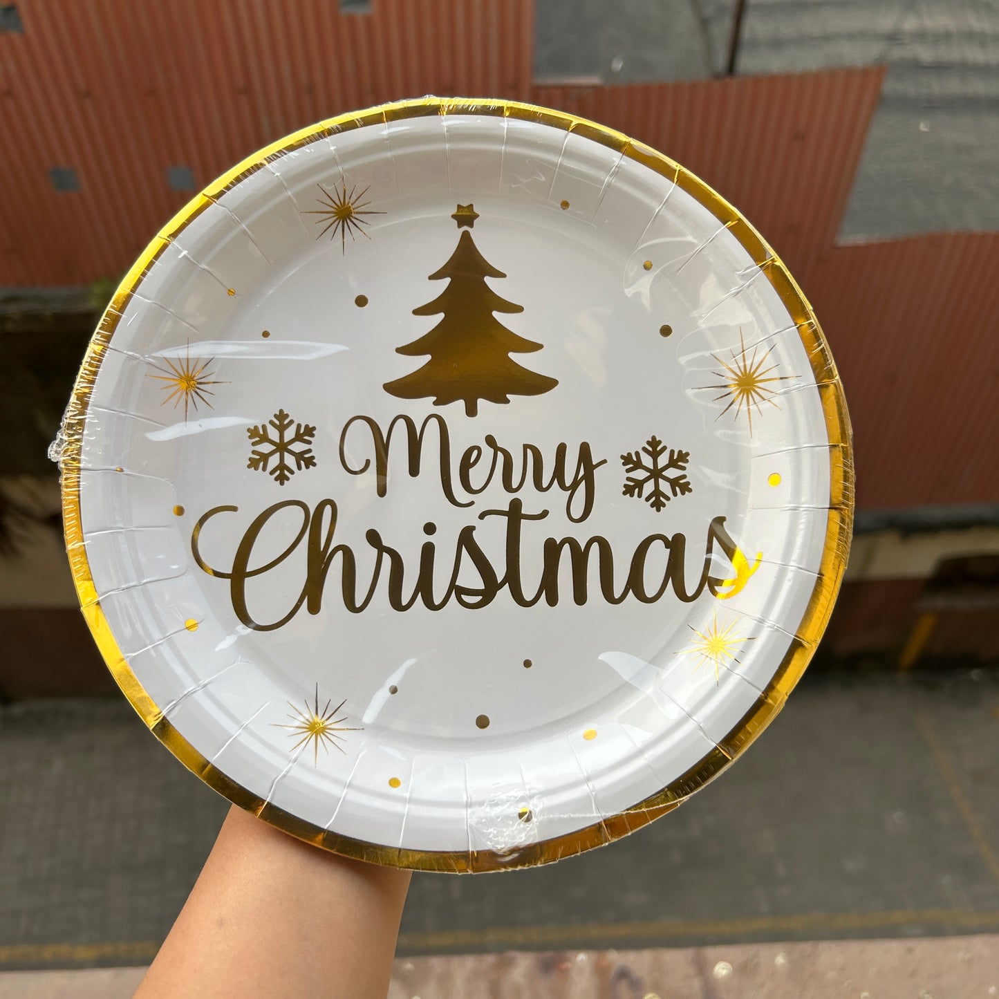 Christmas Disposable - Christmas Plates (10pc)