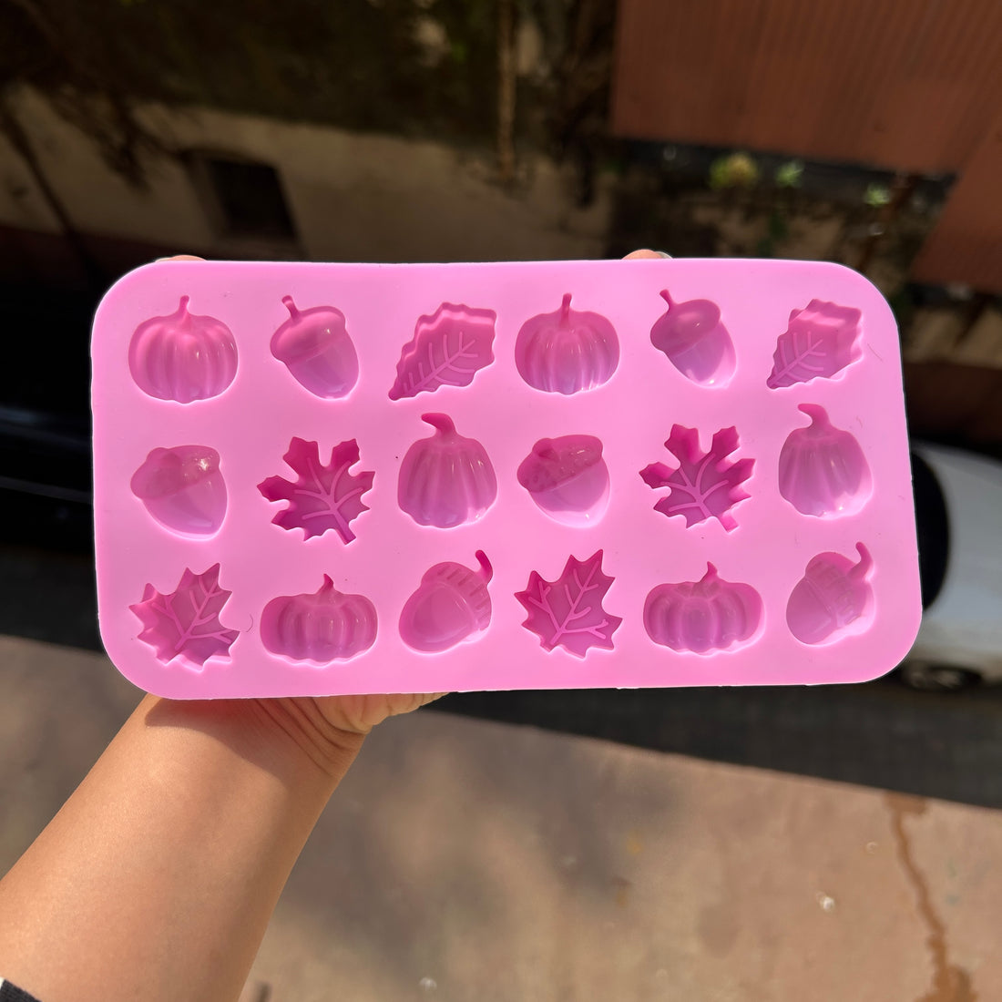 Autumn Silicon Mould
